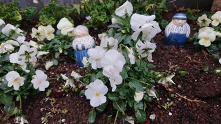 DSC_0857.jpg