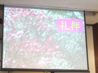 IMG_1232.JPG