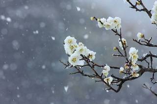 IMG_1262.JPG